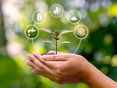 © Arthon – stock.adobe.com