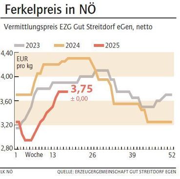 Grafik Ferkelpreis 19_2025.jpg © LK NÖ