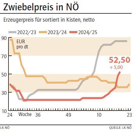 Grafik Zwiebelpreis 19_2025.jpg © LK NÖ