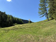 © Land OÖ/Reifeltshammer