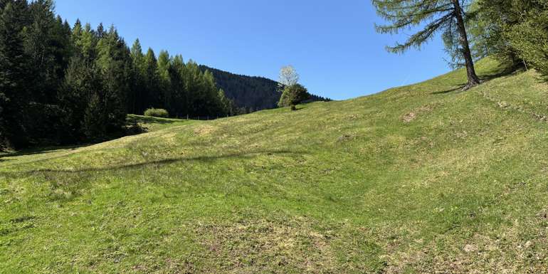 Naturschutzweide.jpg © Land OÖ/Reifeltshammer Naturschutzweide.jpg © Land OÖ/Reifeltshammer