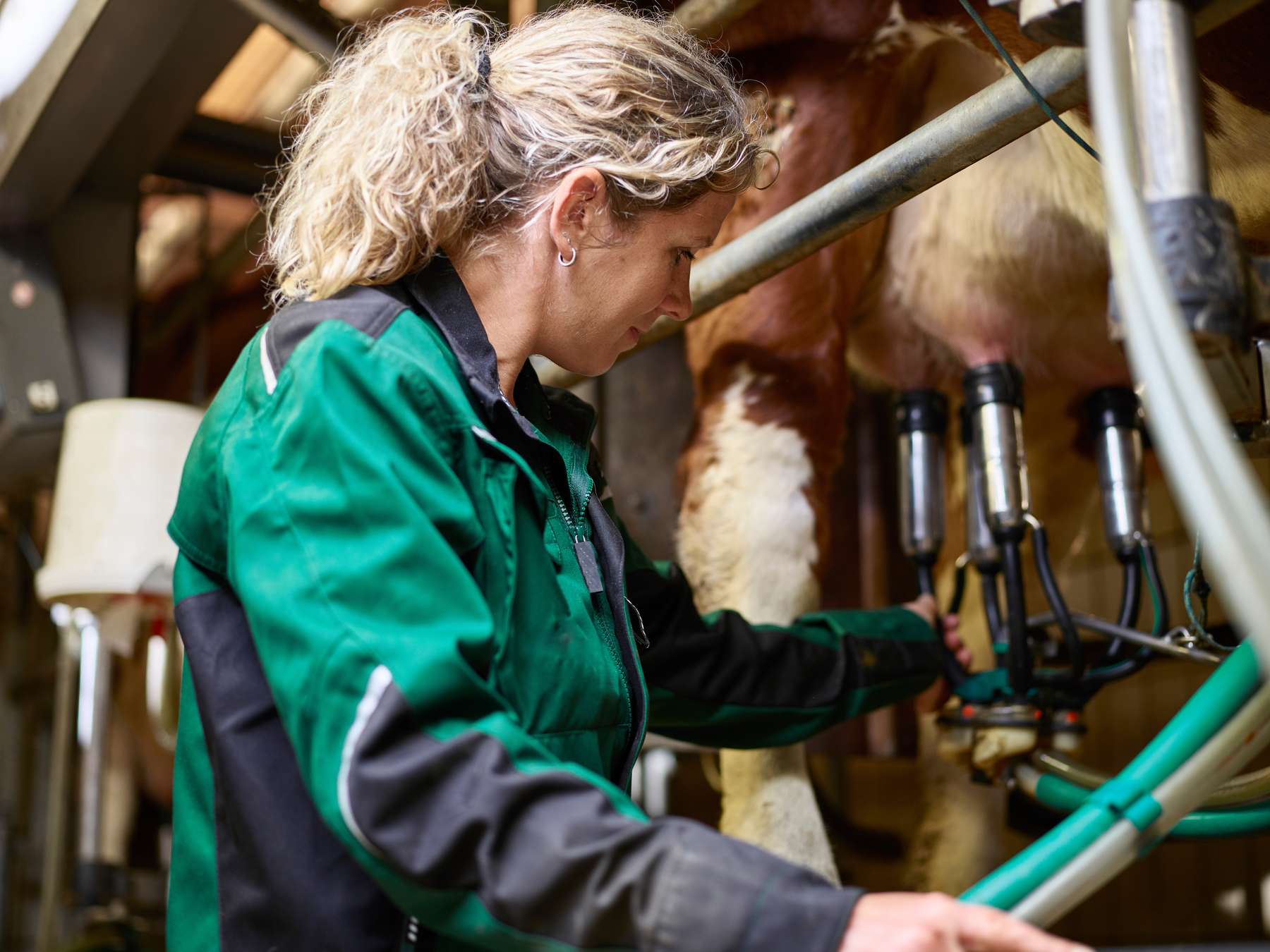 Milch ©AdobeStock_393434213.jpg © Adobe Stock