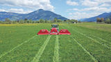 Mit Hightech  den Ampfer  im Griff.jpg © Hatheier