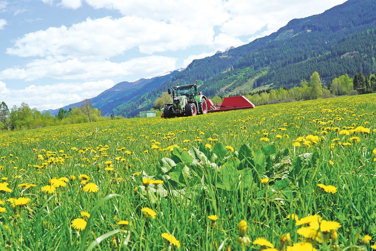Mit Hightech den Ampfer im Griff.jpg © Hatheier Mit Hightech den Ampfer im Griff.jpg © Hatheier