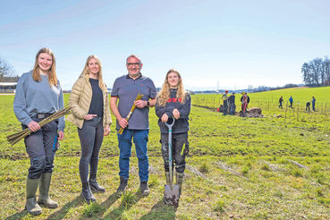 Agroforst:  Wenn Bäume in Wiesen wachsen .jpg © Woerle