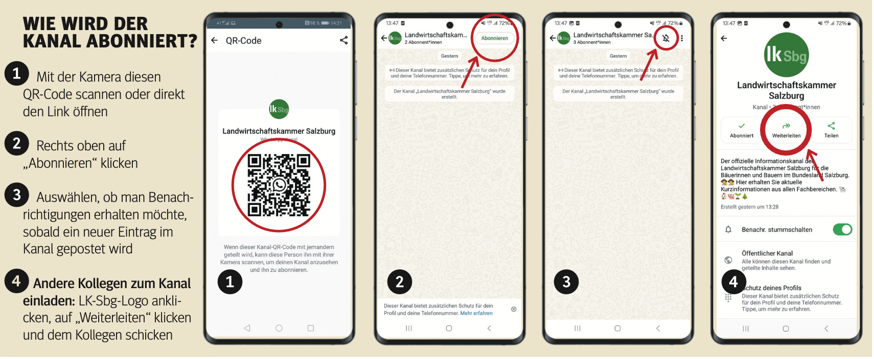 WhatsApp Kanal.png © Archiv WhatsApp Kanal.png © Archiv
