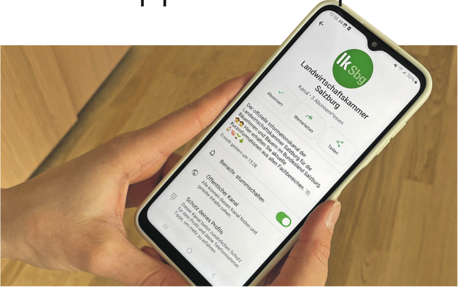 WhatsApp Kanal.png © Archiv WhatsApp Kanal.png © Archiv