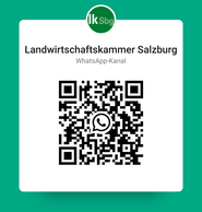 WhatsApp Kanal.png © Archiv