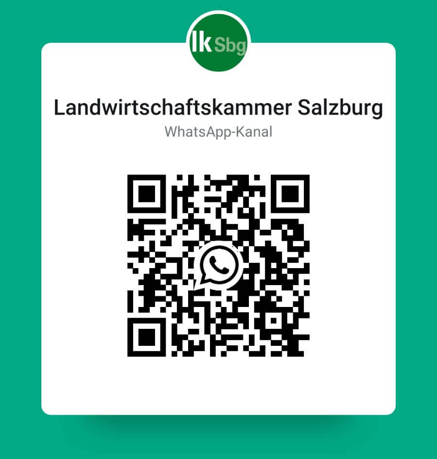 WhatsApp Kanal.png © Archiv WhatsApp Kanal.png © Archiv