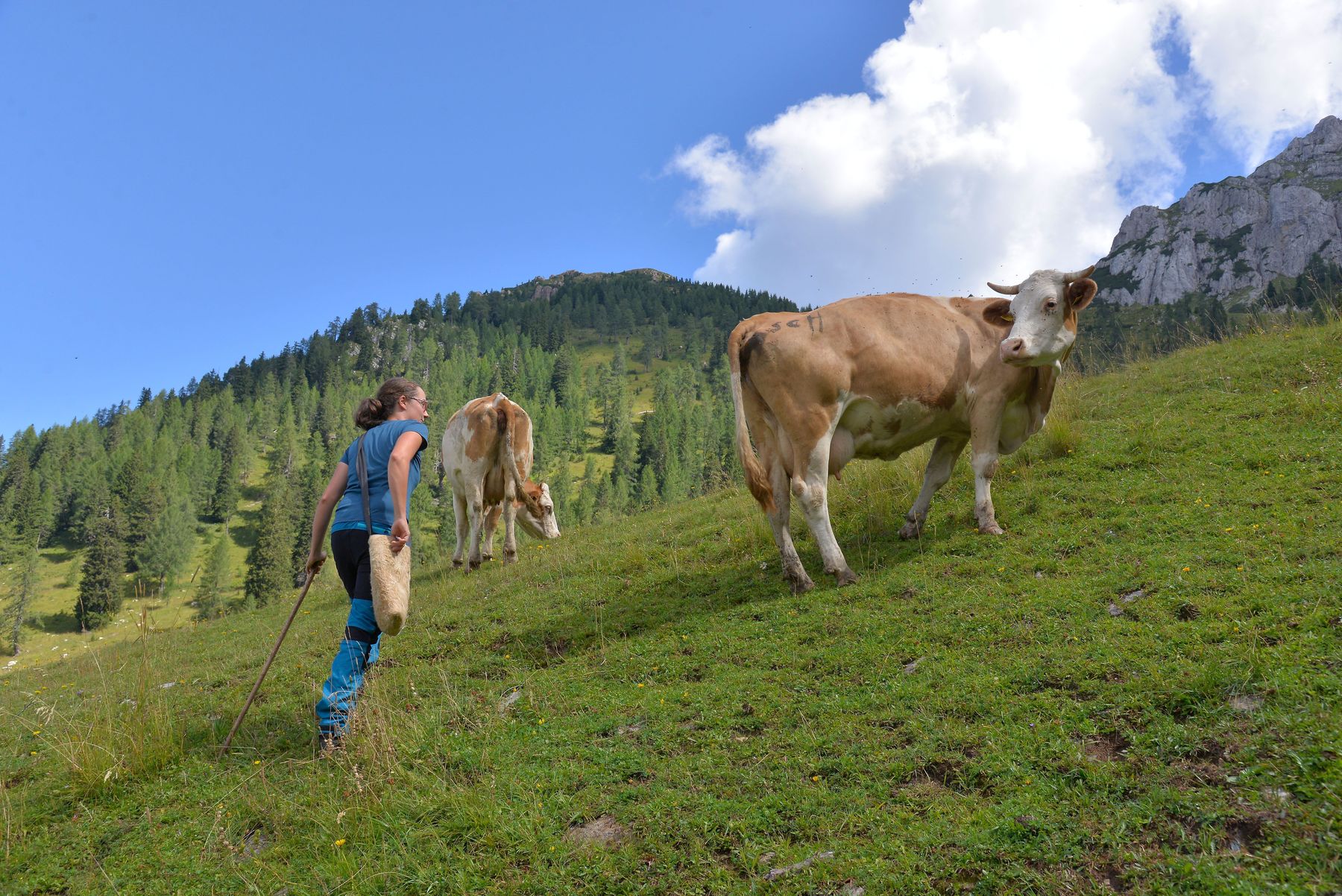 WatschigerAlm_20220803 (84)_A_Kampfer.jpg © Kampfer WatschigerAlm_20220803 (84)_A_Kampfer.jpg © Kampfer