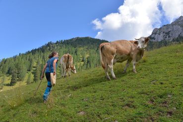 WatschigerAlm_20220803 (84)_A_Kampfer.jpg © Kampfer