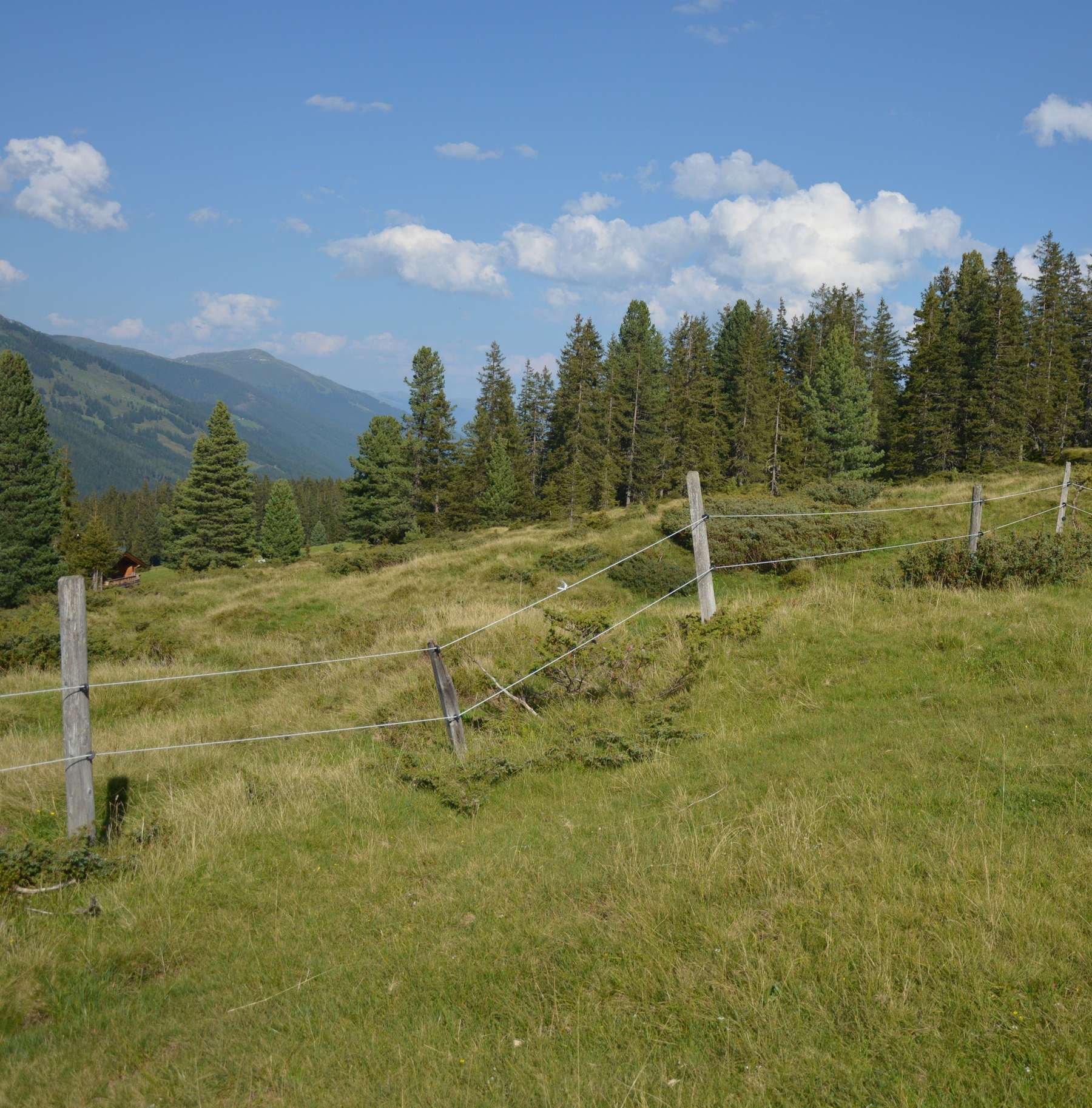 Almweideplan.jpg © Kampfer Almweideplan.jpg © Kampfer