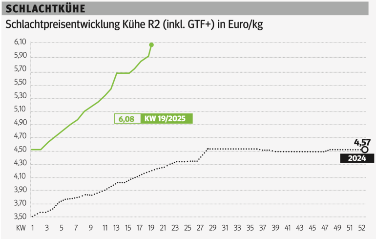 Schlachtkuhgrafik KW 19.png © Grafik RZV