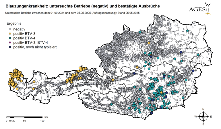 Verbreitung Blauzunge Stand 5.5.2025 © AGES