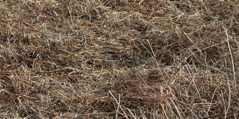 Mulchmaterial_Frühjahr.jpg © BWSB/Schütz