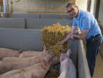 © Landwirtschaftskammer OÖ