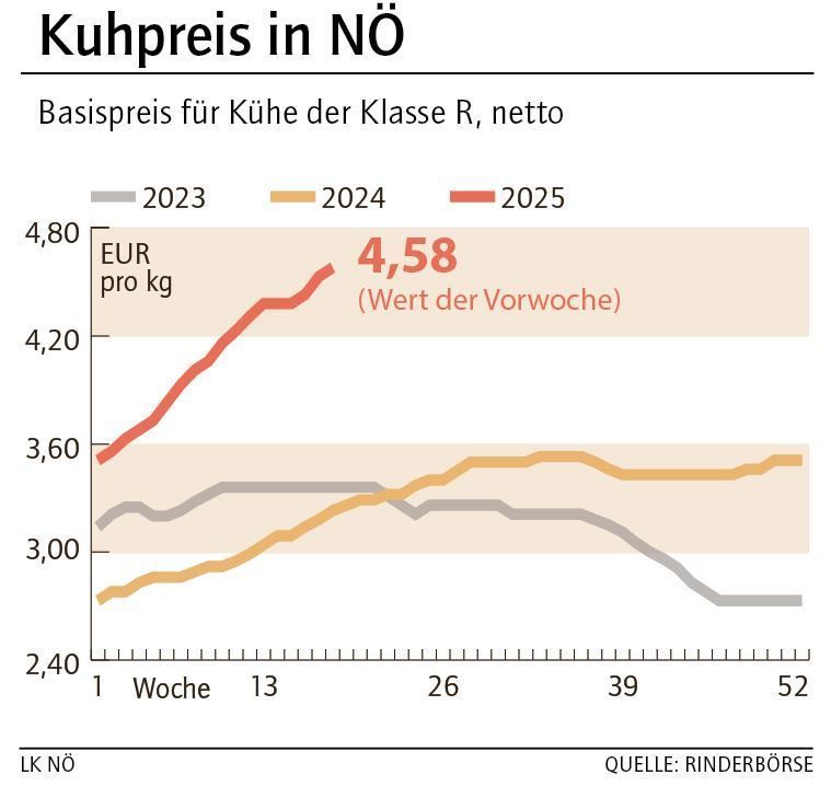 Grafik Kuhpreis 19_2025.jpg © LK NÖ