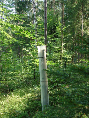 Monowuchssäule (c) Schaschl.jpg © LK Kärnten/Elisabeth Schaschl Monowuchssäule (c) Schaschl.jpg © LK Kärnten/Elisabeth Schaschl