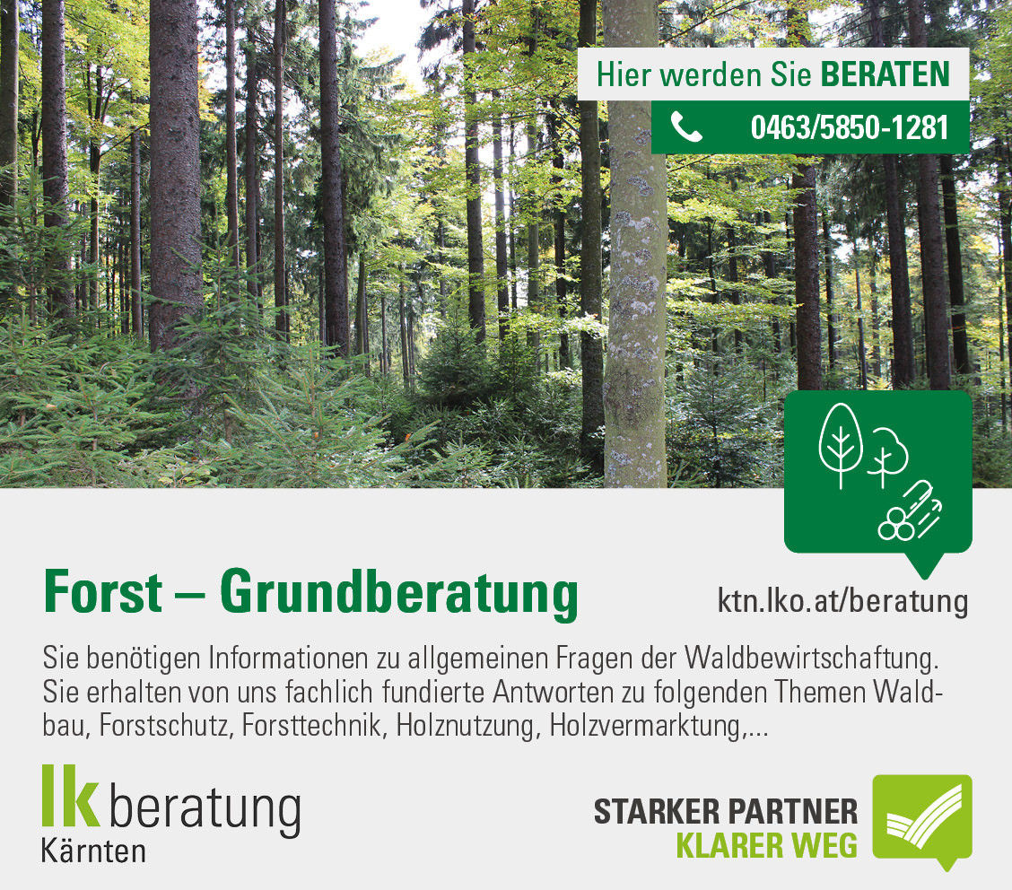 GB Forst_Sujets_lk-beratung_KTN_FH3_95x84.jpg © LK Kärnten GB Forst_Sujets_lk-beratung_KTN_FH3_95x84.jpg © LK Kärnten
