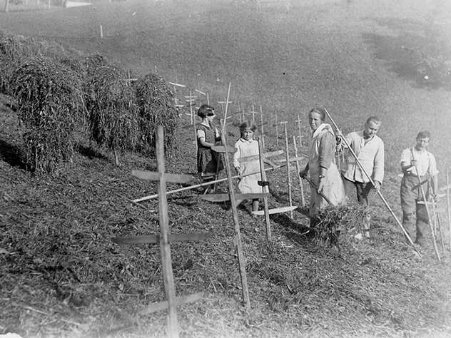 Landwirtschaft früher.jpg © Martin Wachter