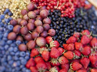 Beeren .jpg © LK Vbg