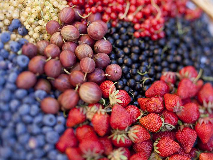Beeren .jpg © LK Vbg