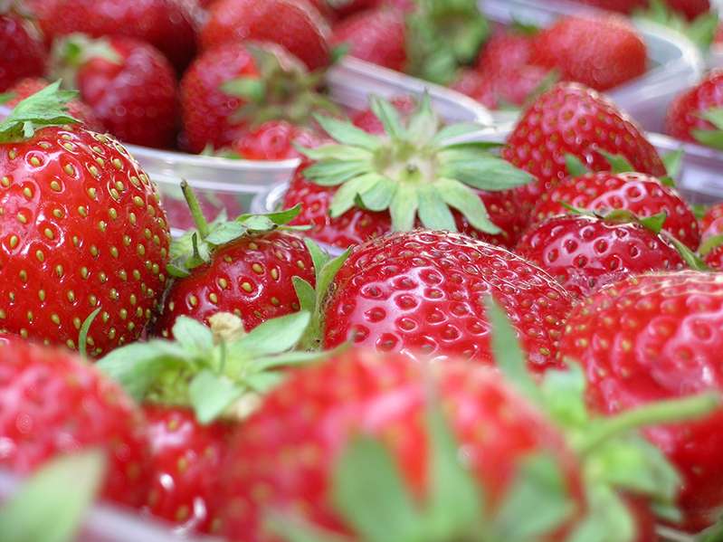 Erdbeeren .jpg © LK Vbg