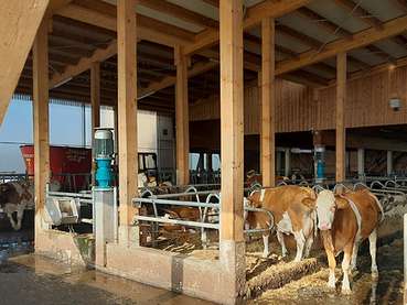 Betrieb Spiegel.jpg © LK Vbg. Betrieb Spiegel.jpg © LK Vbg.