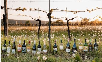 Die Siegerweine_25.jpg © Anna Fellner Die Siegerweine_25.jpg © Anna Fellner