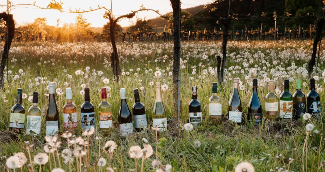 Die Siegerweine_II_25.jpg © Anna Fellner Die Siegerweine_II_25.jpg © Anna Fellner