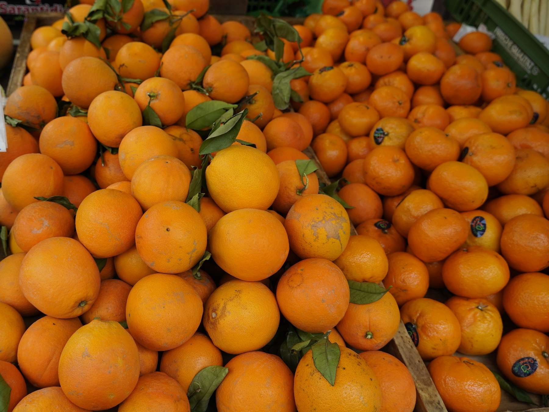 sb20_mt_orangen.jpg © Dürnberger