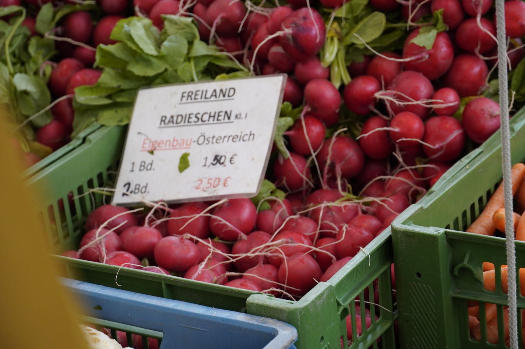 sb20_mt_radis.jpg © Dürnberger sb20_mt_radis.jpg © Dürnberger