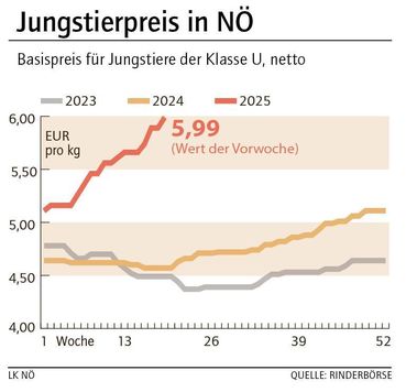 Grafik Stierpreis 20_2025.jpg © LK NÖ