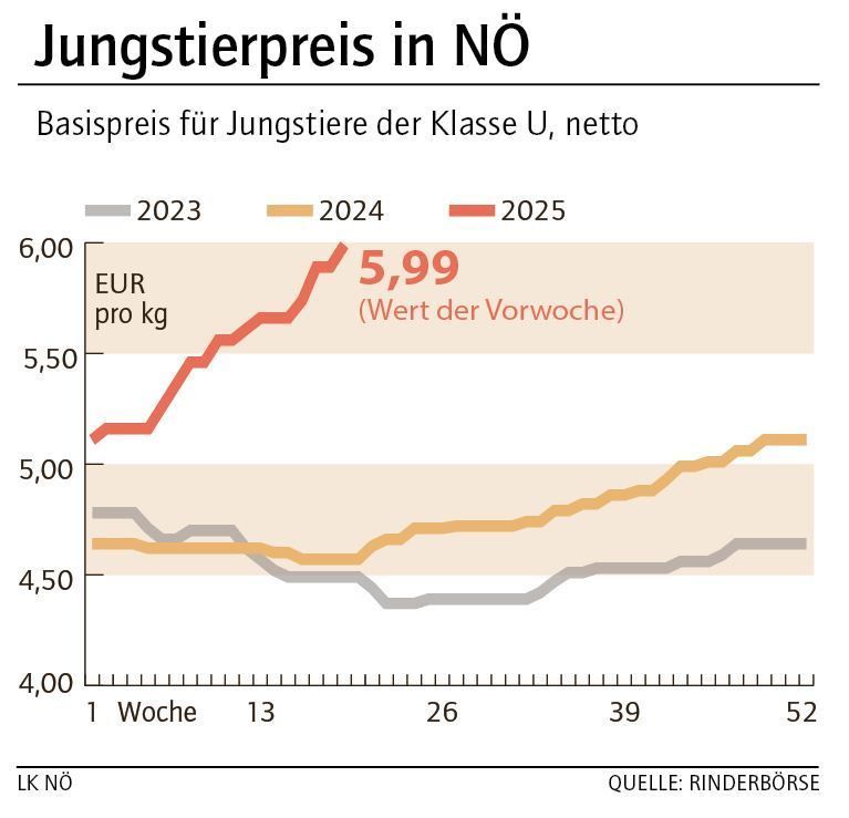 Grafik Stierpreis 20_2025.jpg © LK NÖ