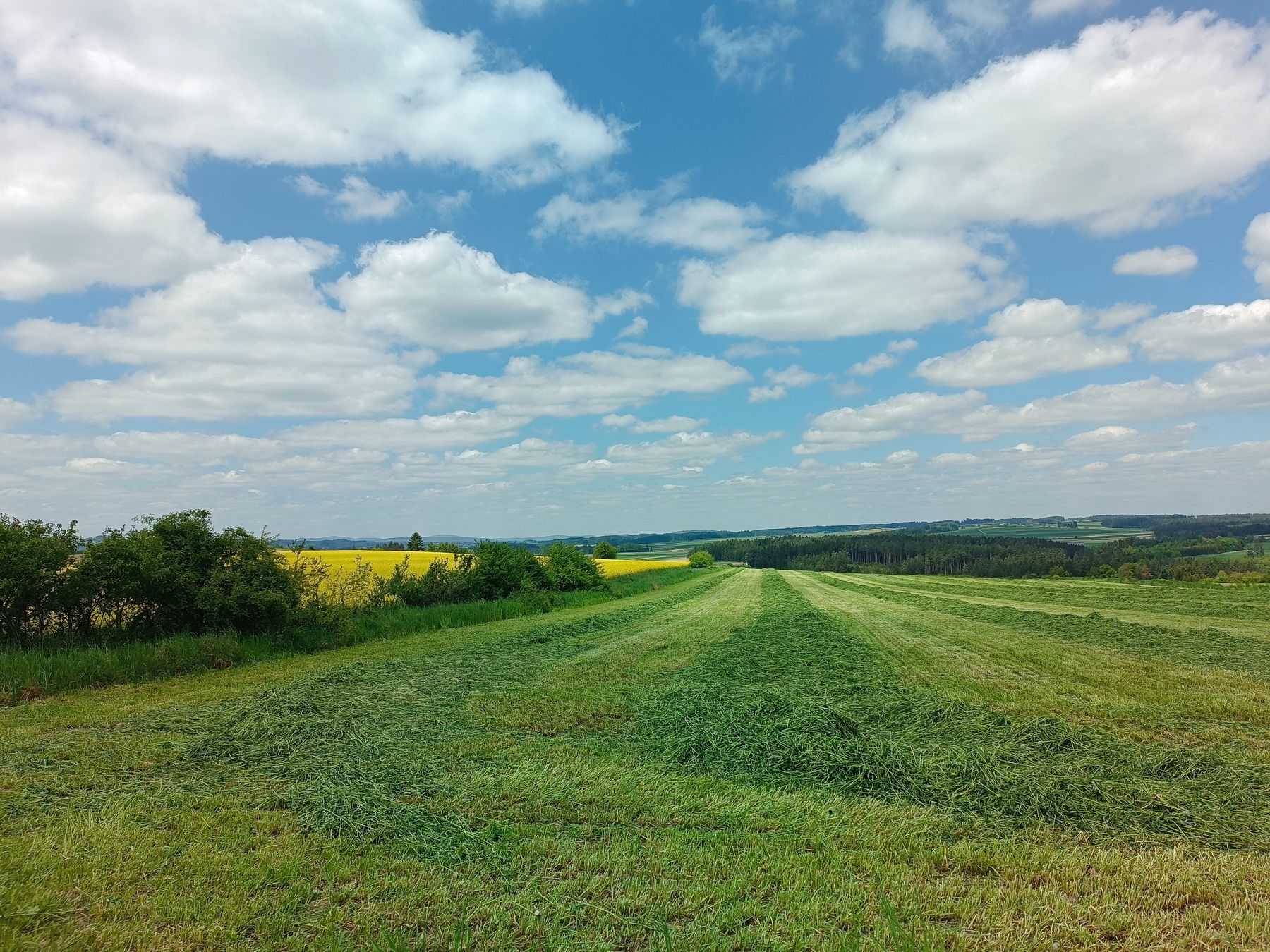 © BBK Zwettl © BBK Zwettl