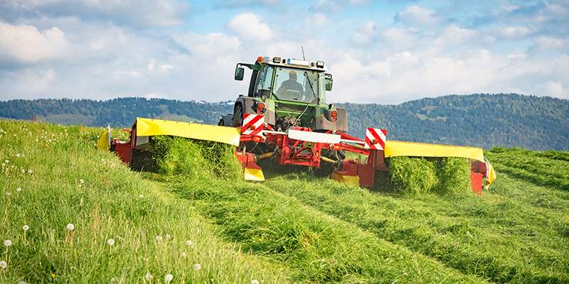 .jpg © AdobeStock .jpg © AdobeStock