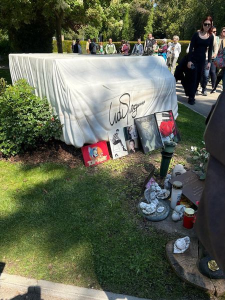 WhatsApp Image 2025-05-14 at 06.25.01(1).jpg WhatsApp Image 2025-05-14 at 06.25.01(1).jpg