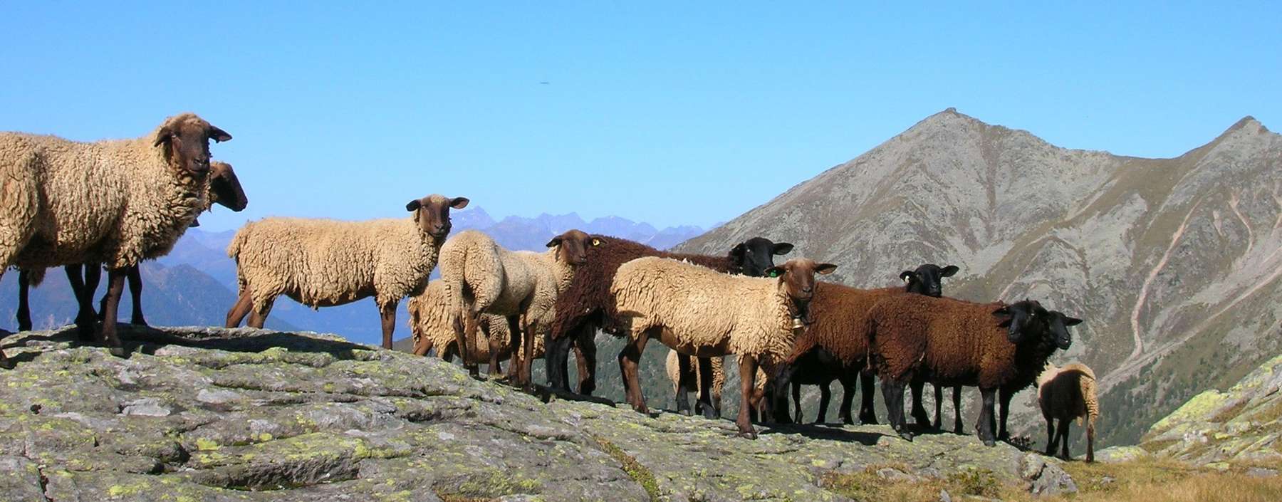 Alm.jpg © Hubert Weichsler