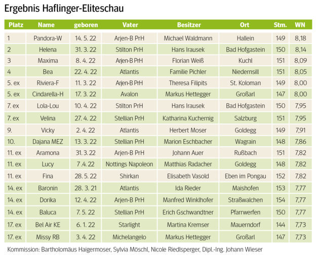 Stutbuchaufnahme mit breiter Spitze bei Eliteschau.png © Archiv