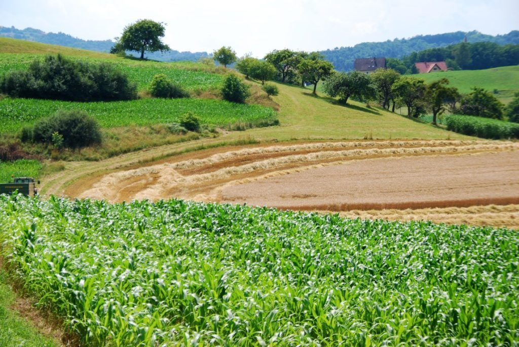Kulturlandschaft_Acker_Naturpark_Suedsteiermark-1024x686.jpg © Naturpark Südweststeiermark