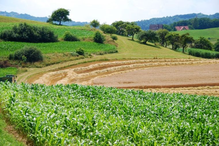 Kulturlandschaft_Acker_Naturpark_Suedsteiermark-1024x686.jpg © Naturpark Südweststeiermark