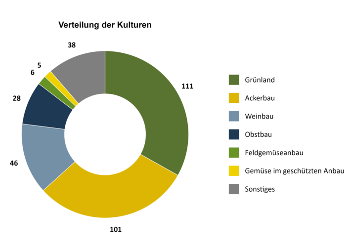 Ringchart_Sparte.png © Projekt Klimafitte Südweststeiermark