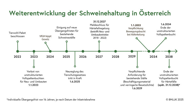 Infografik_Schweinehaltung_neu_BMUK_LKOÖ.jpg © BMLUK 2025 Infografik_Schweinehaltung_neu_BMUK_LKOÖ.jpg © BMLUK 2025