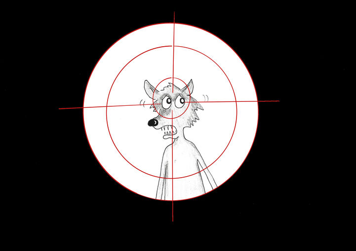 Wolf.jpg © Mitterwallner
