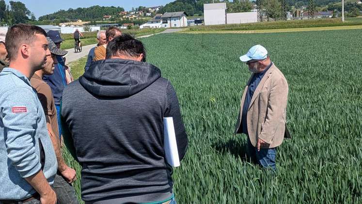 Feldbegehung der Arbeitskreise "BWS" in Saxen, 13. Mai 2025
