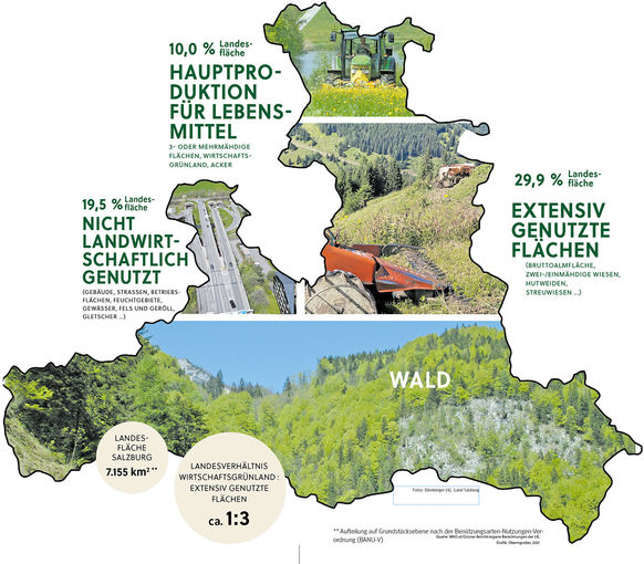 Flächen Sbg 3.jpg © Archiv