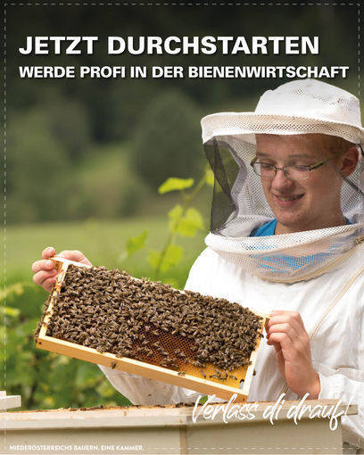 © LK Niederösterreich