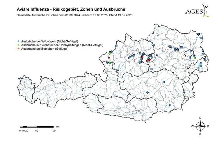 Vogelgrippe Fälle in Österreich mit Stand 19. Mai 2025.jpg © AGES