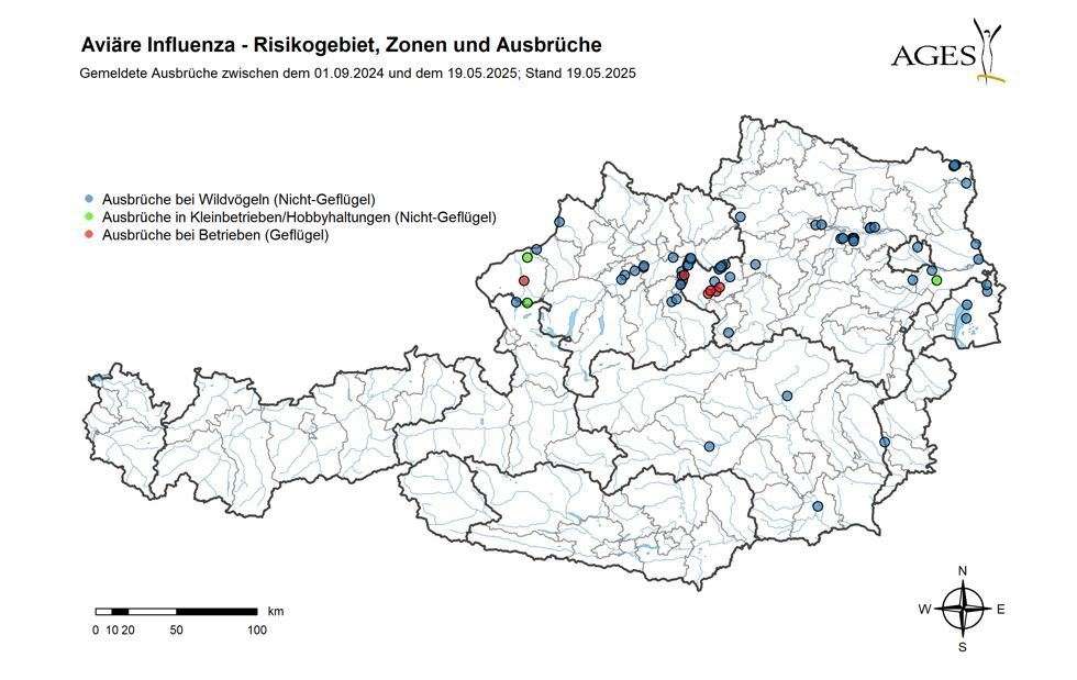 Vogelgrippe Fälle in Österreich mit Stand 19. Mai 2025.jpg © AGES