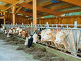 © Landwirtschaftskammer OÖ